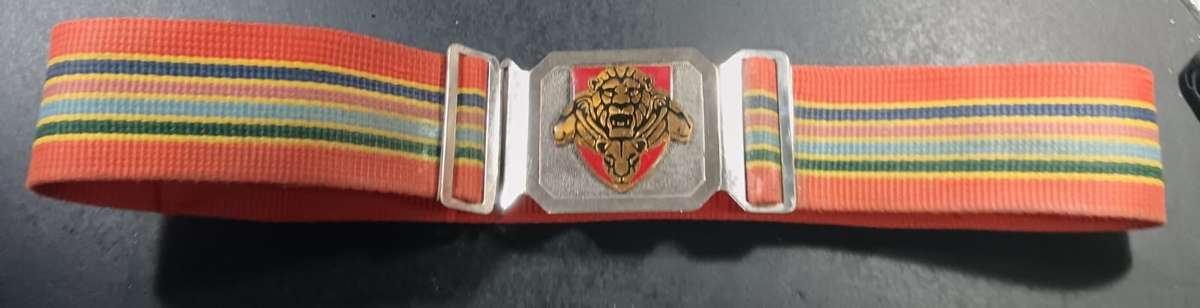 SANDF - Pride of the Nation Stable Belt