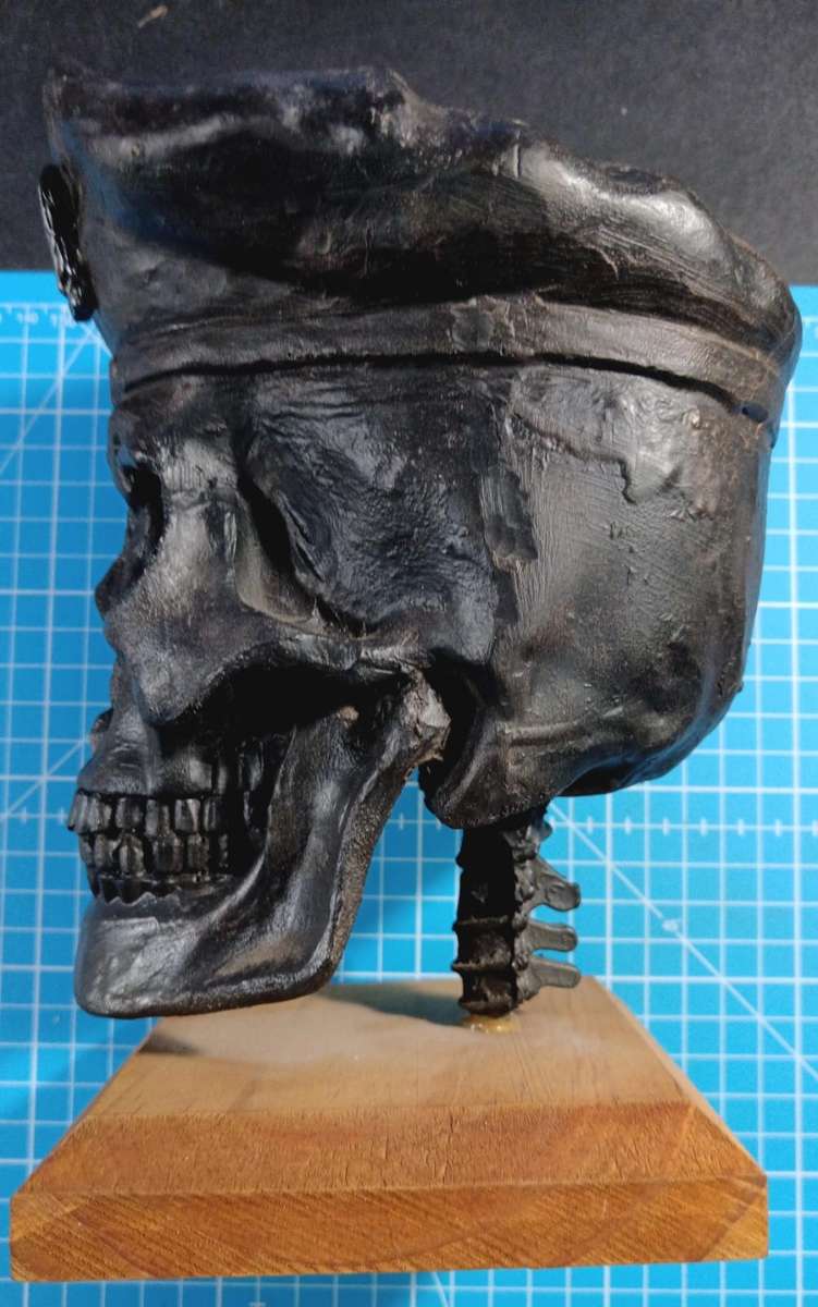 SADF - Infantry Scull