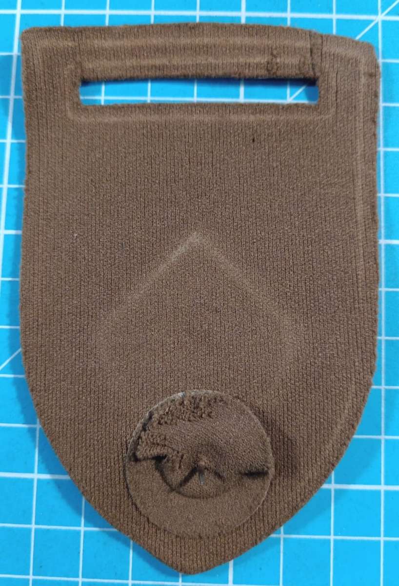 SADF - Infantry Tupper Flash