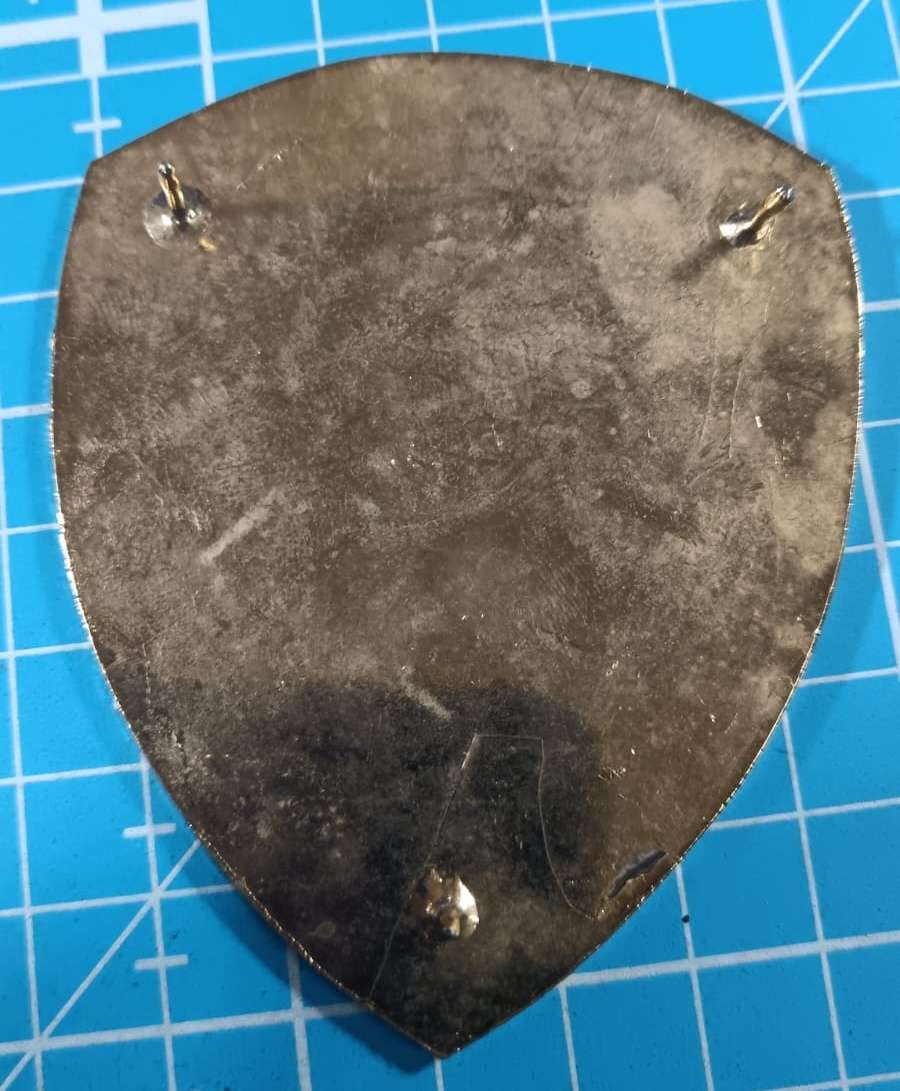 SA Traffic Police Shoulder Flash