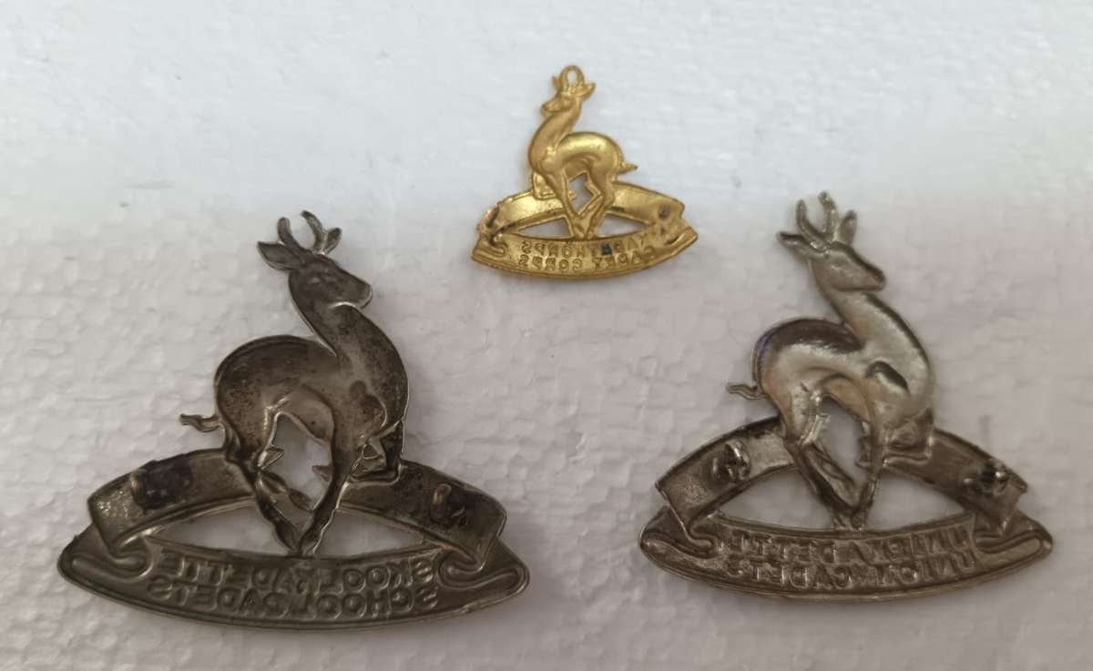 SADF - School Cadets Badge Lot