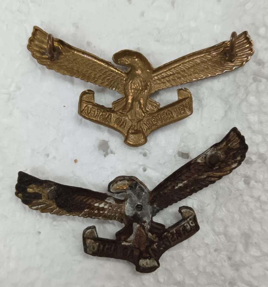 SADF - Air Force Collars