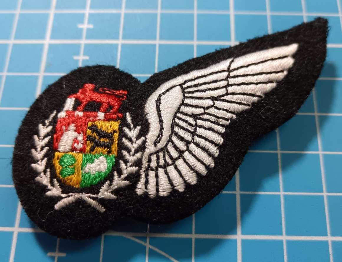 SADF - SAAF Wing