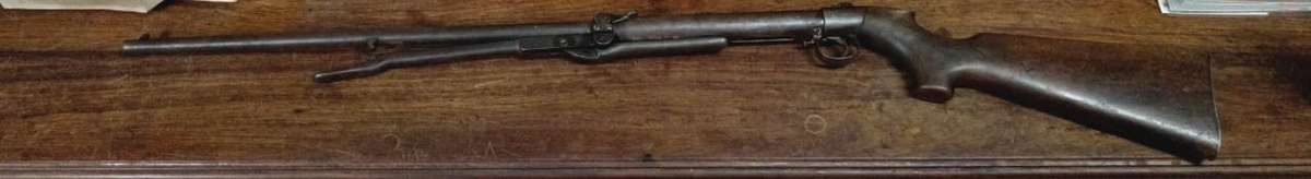 Vintage 19th Century BSA Air Rifle by The Birmingham Small Arms Co - Good Working Condition