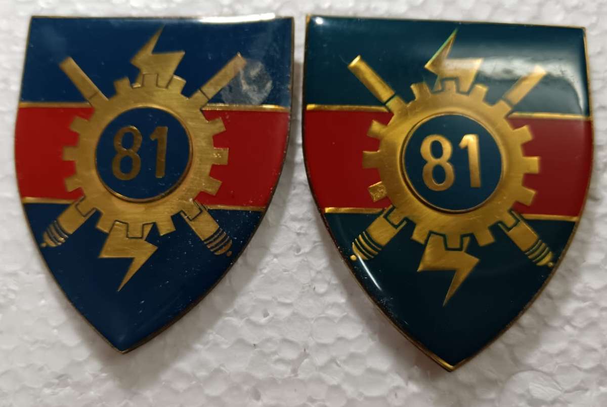 SADF - 81 Technical Stores Shoulder Flash Pair