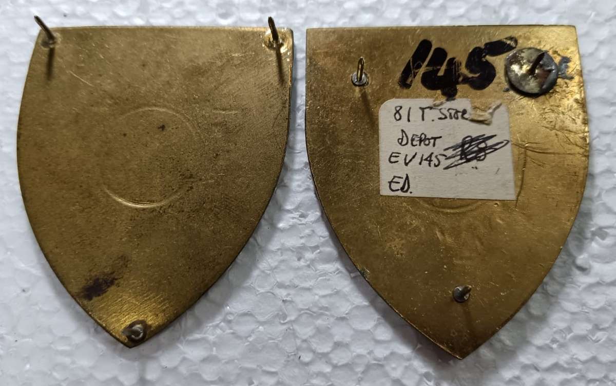 SADF - 81 Technical Stores Shoulder Flash Pair