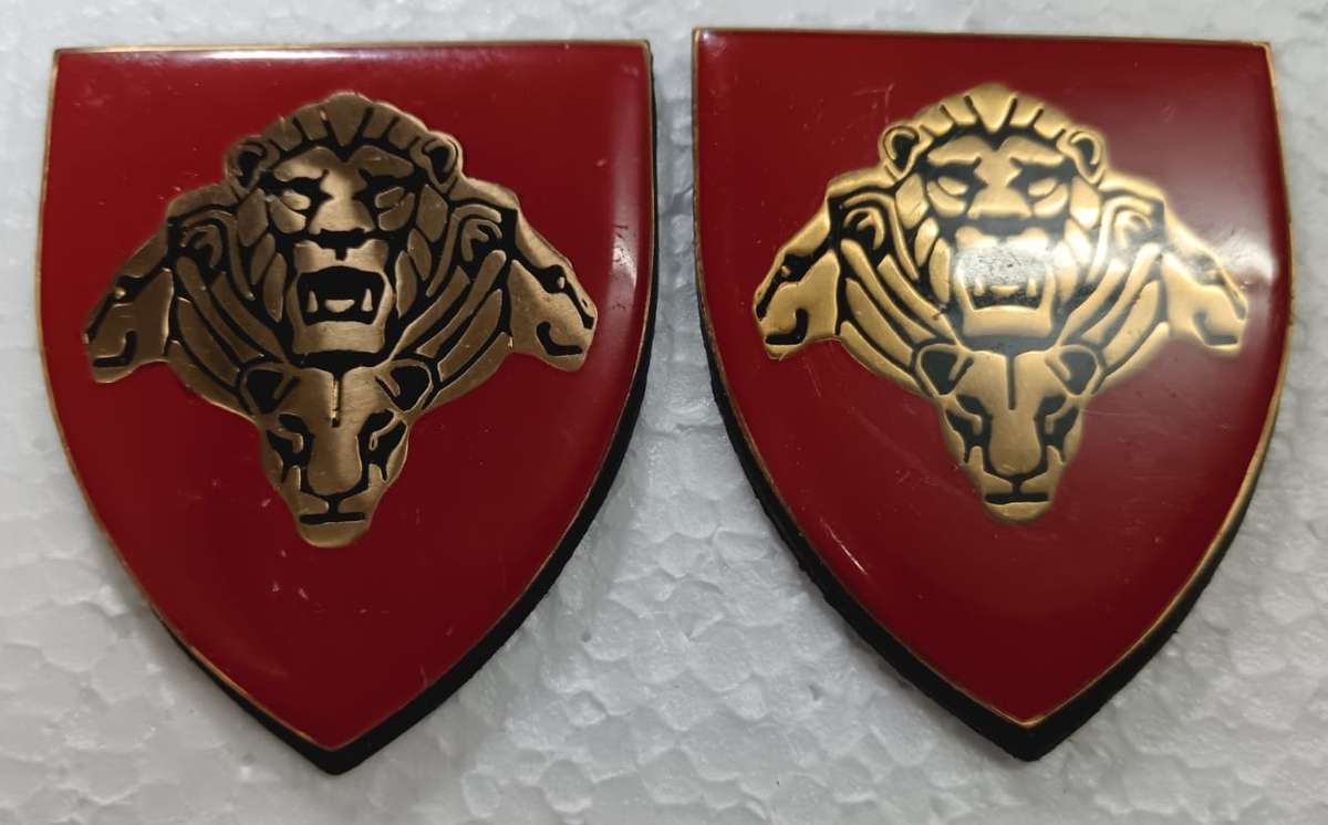 SANDF - Pride of the Nation Shoulder Flash Pair