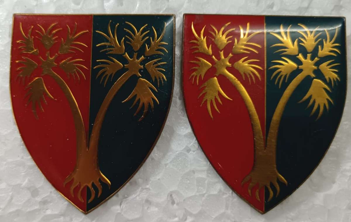 SADF - SWA 101 Workshop Shoulder Flash Pair