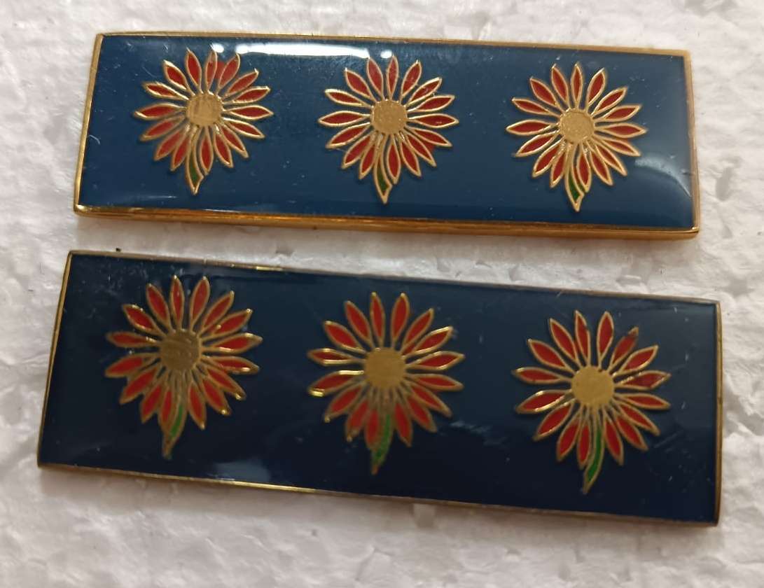 SADF - N/Transvaal Command HQ Higher Formation Bars