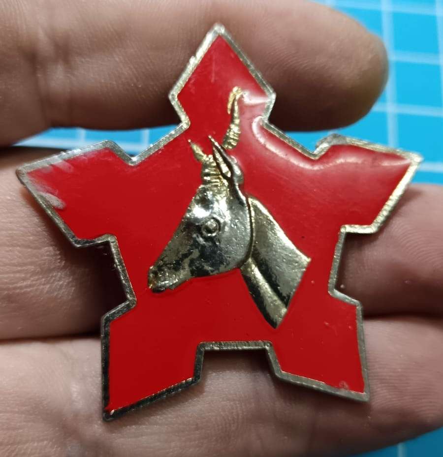 SADF - Ceremonial Cap Badge