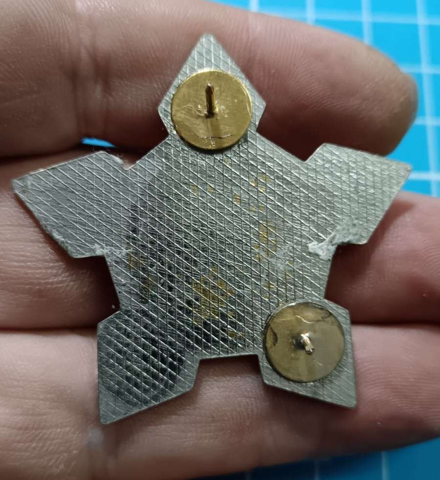 SADF - Ceremonial Cap Badge