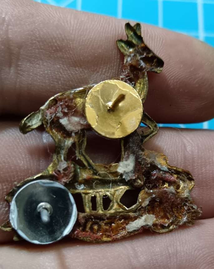 SADF - Pretoria Regiment Cap Badge