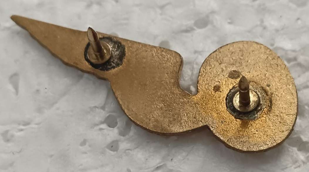 SADF - Air Force Wing