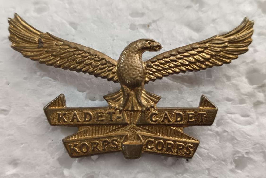SADF - Air Force Cadets Cap Badge