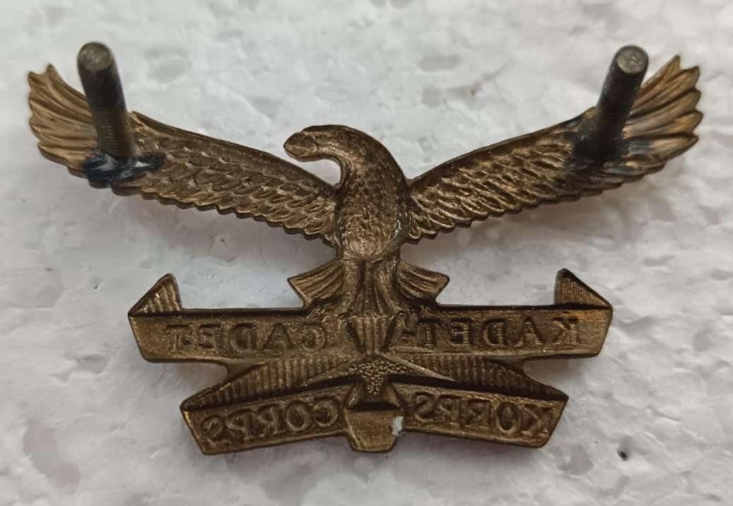 SADF - Air Force Cadets Cap Badge