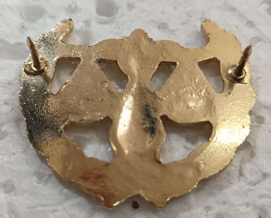 SANDF - Qualification - Military Law Practitioner - Service Dress Badge