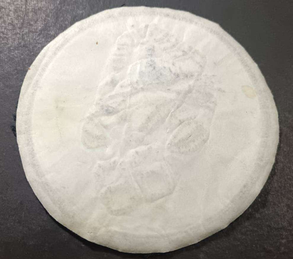 Special Forces Super Soldier - Mike West ( SAS and Recce ) Strike Craft 66 Badge