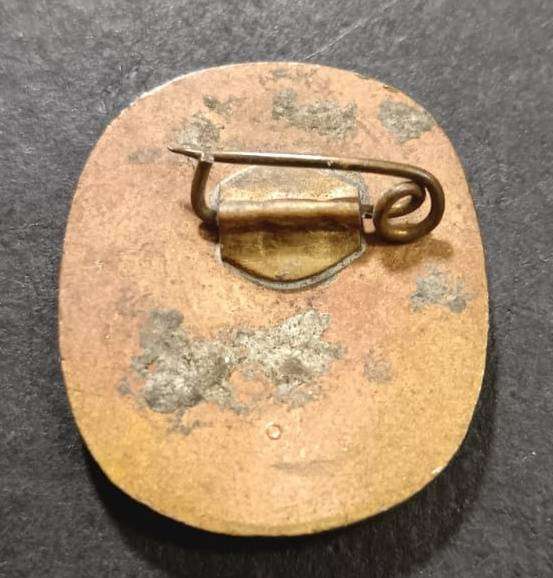 Special Forces Super Soldier - Mike West (SAS and Recce)Joshua Nkomo Political Badge