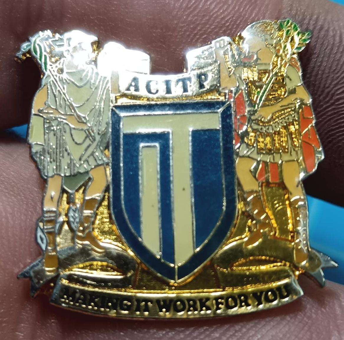 Unknown Pin Badge