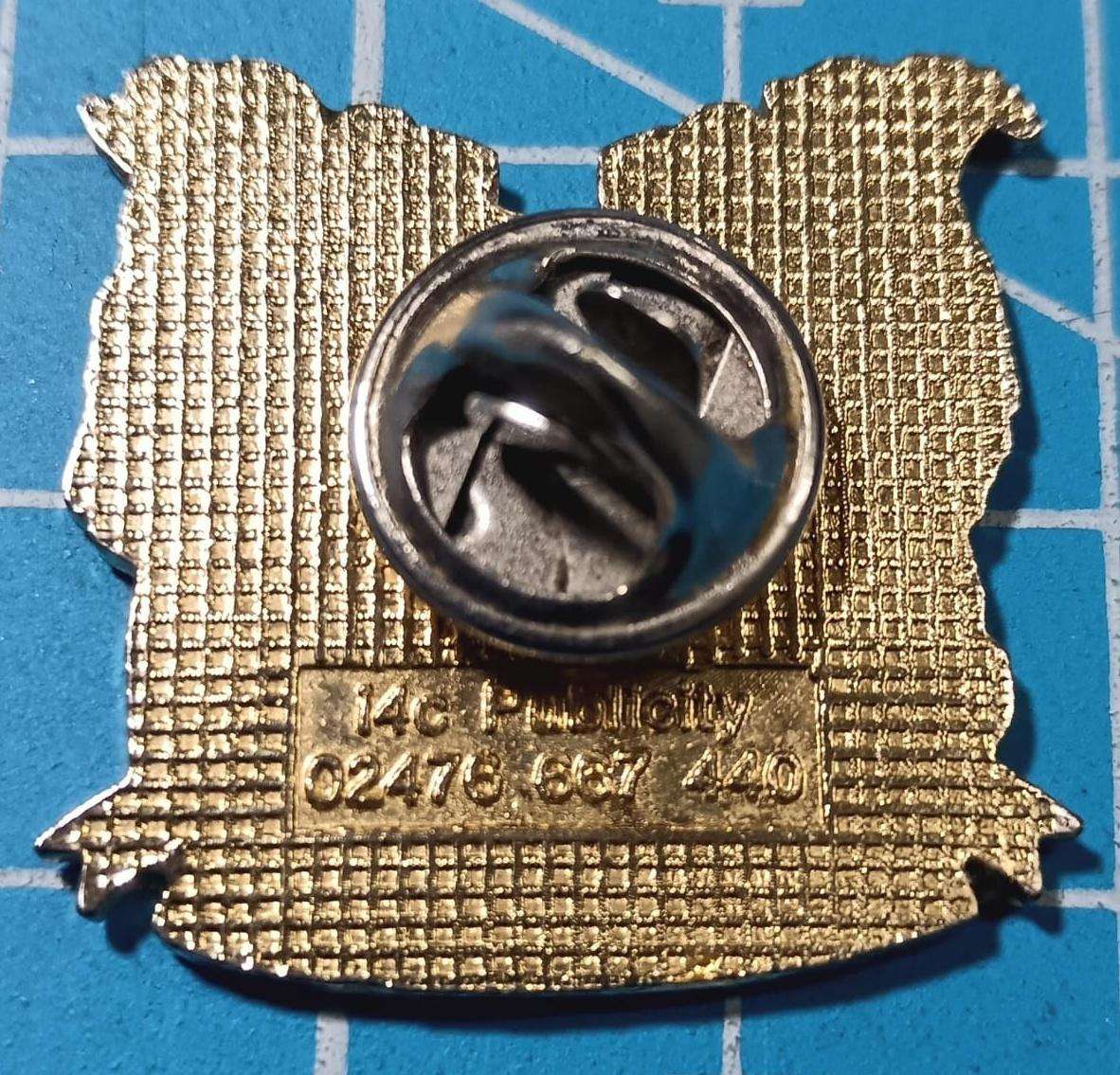 Unknown Pin Badge