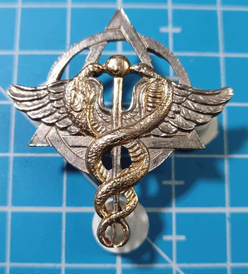SADF - Medical Services Dentist Breast Badge