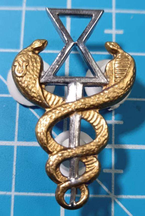SADF - Medical Services Ancillary Health Breast Badge