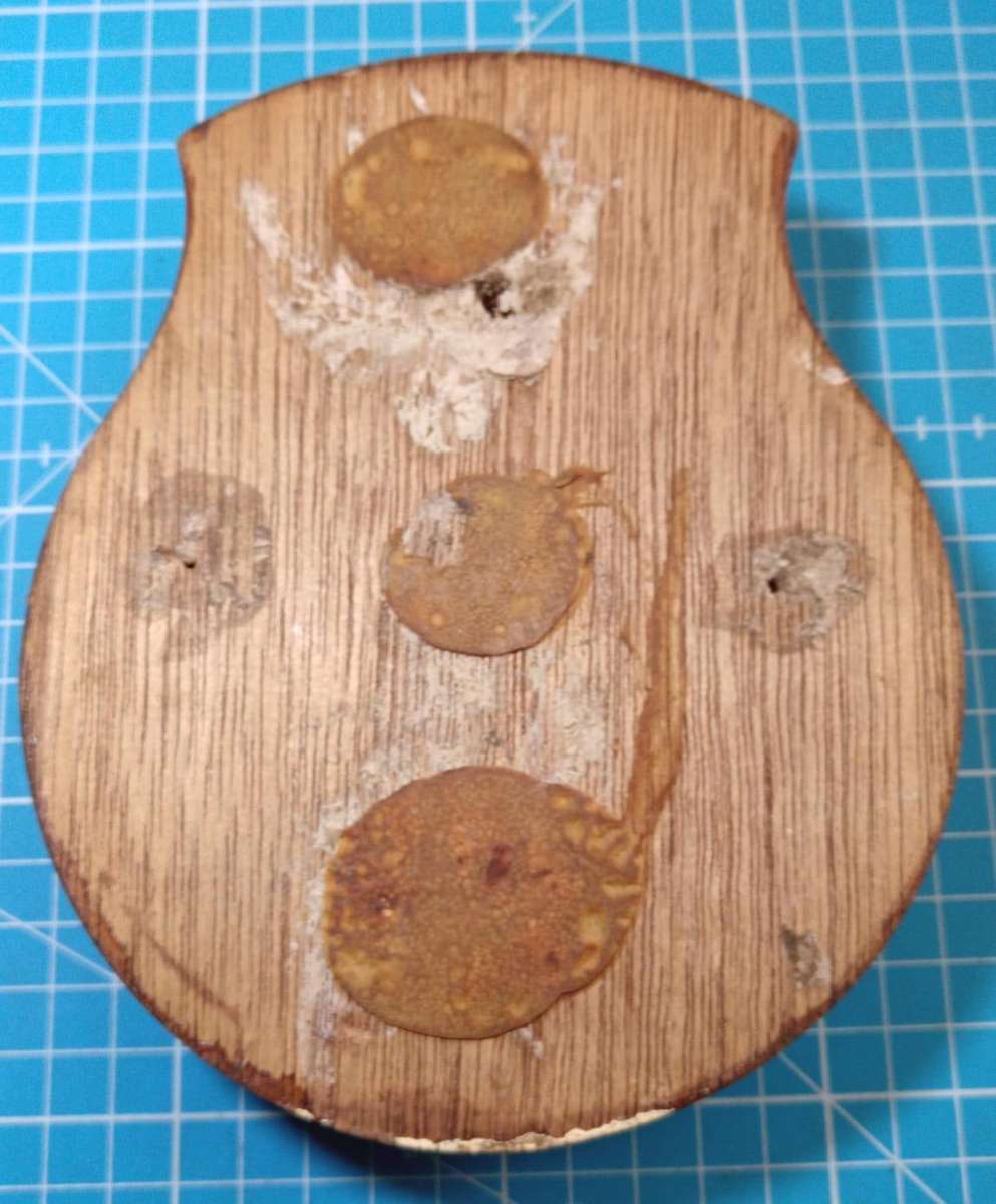 SADF - Navy Commemorative Plaque ( Condition )