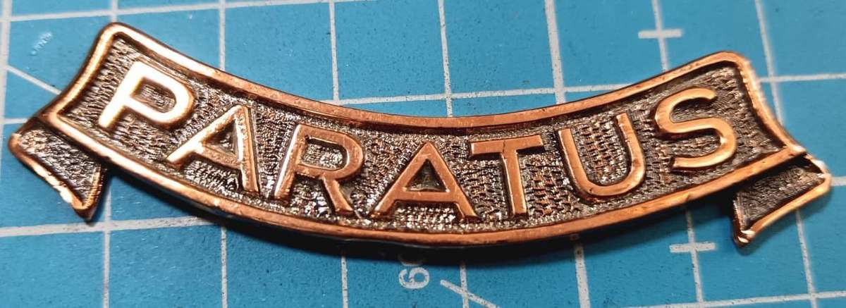 SADF -  Paratus Commemorative Plaque Crest Scroll