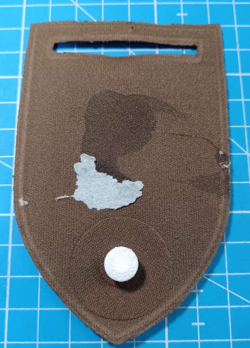 SADF - Engineer Squadron Tupper Flash