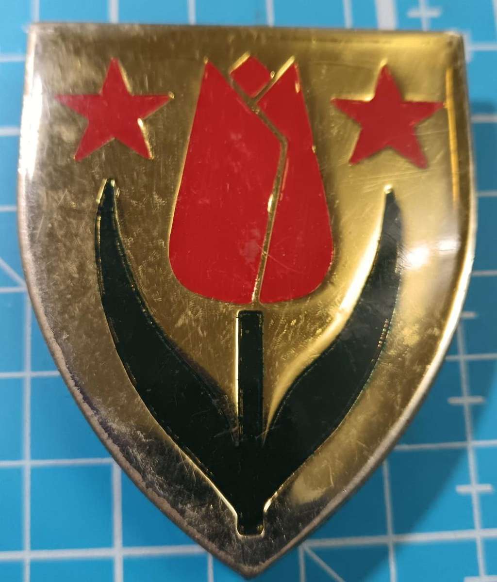 SADF - Karoo Commando Shoulder Flash