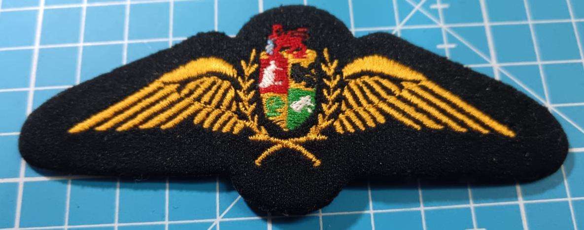SADF - Air Force Pilots Wing