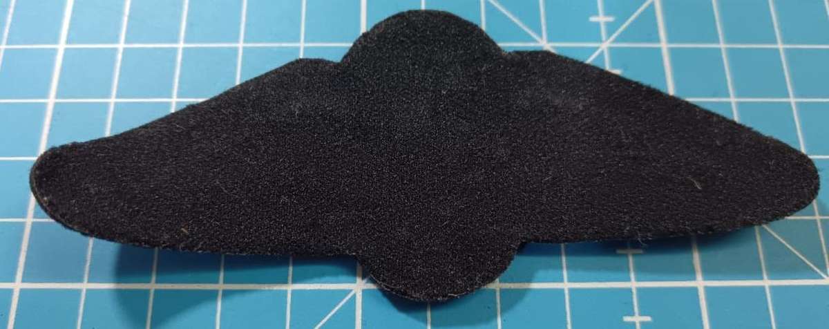 SADF - Air Force Pilots Wing