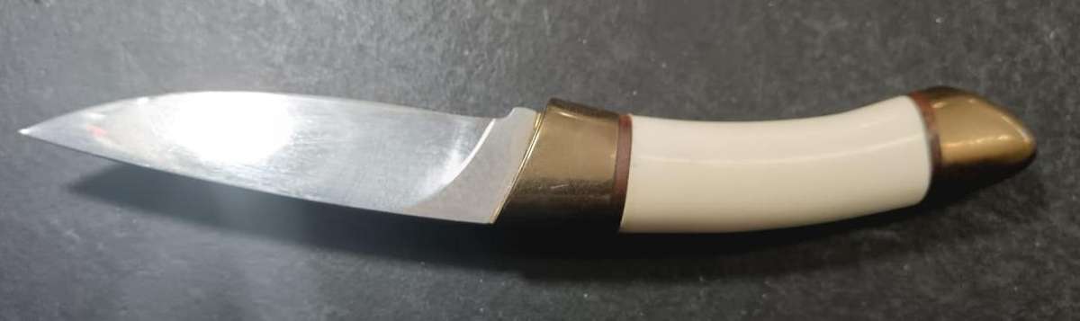 Bone Handled Knife in Presentation Box