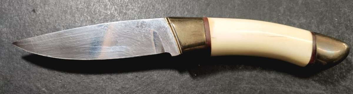 Bone Handled Knife in Presentation Box