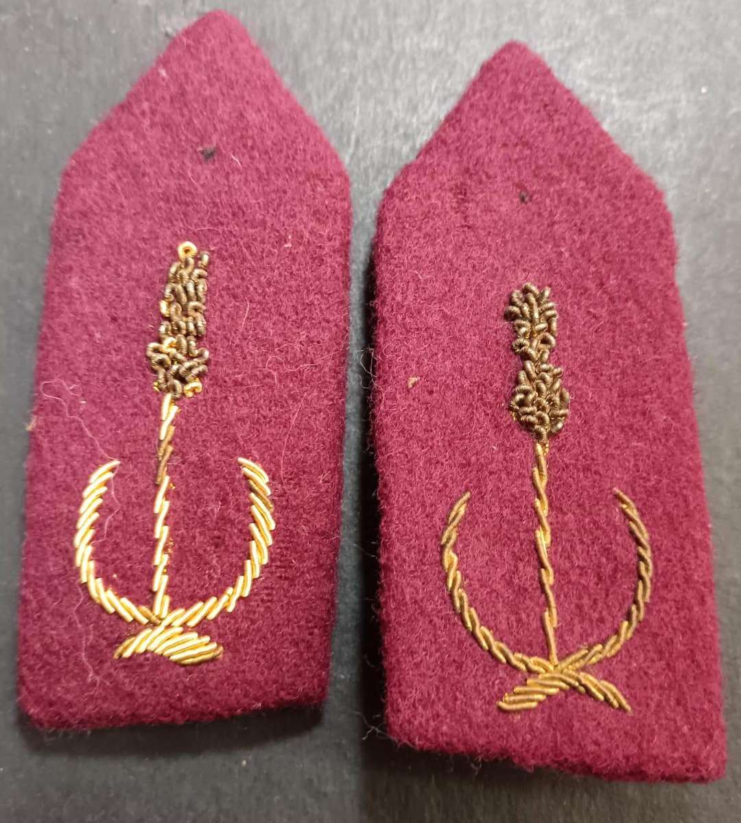 Homelands - Bophuthatswana Police Officers Gorgets