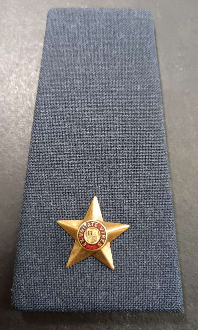 SADF - Air Force Rank Board