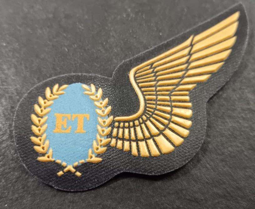 SADF - Airforce Wing