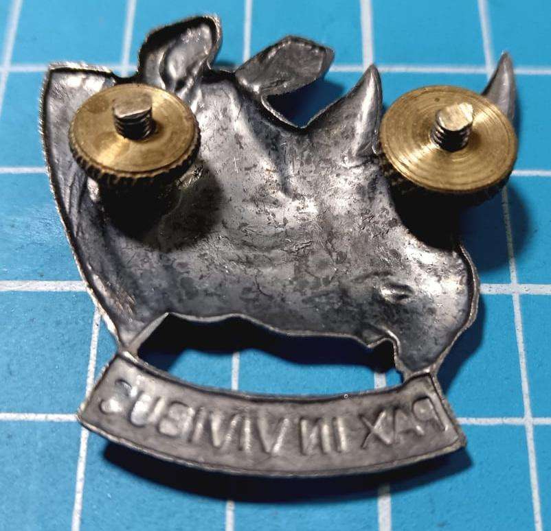 SADF - South West Africa Territorial Forces ( SWATF ) 101 Battalion Cap Badge