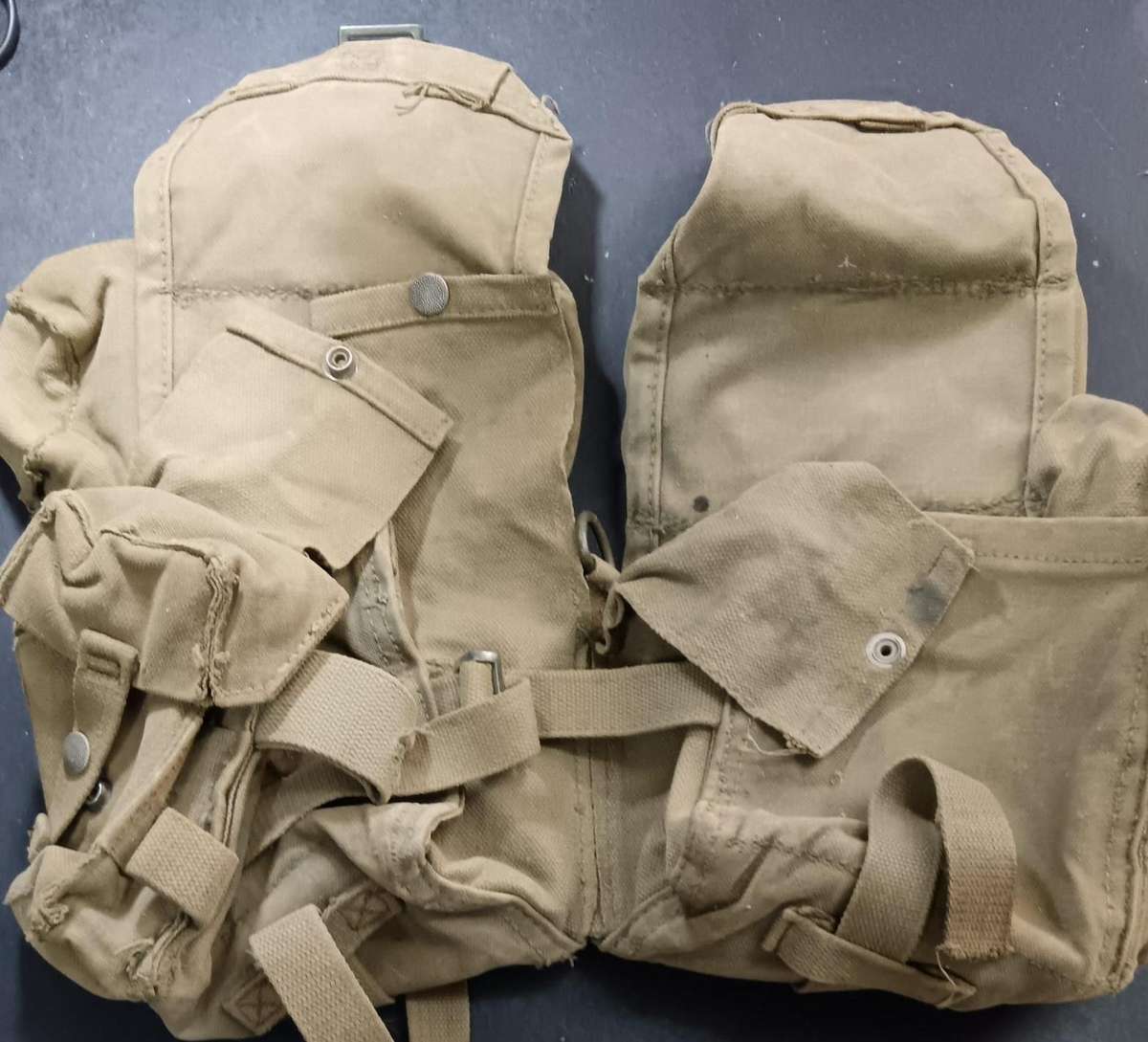 SADF - Webbing Kidney