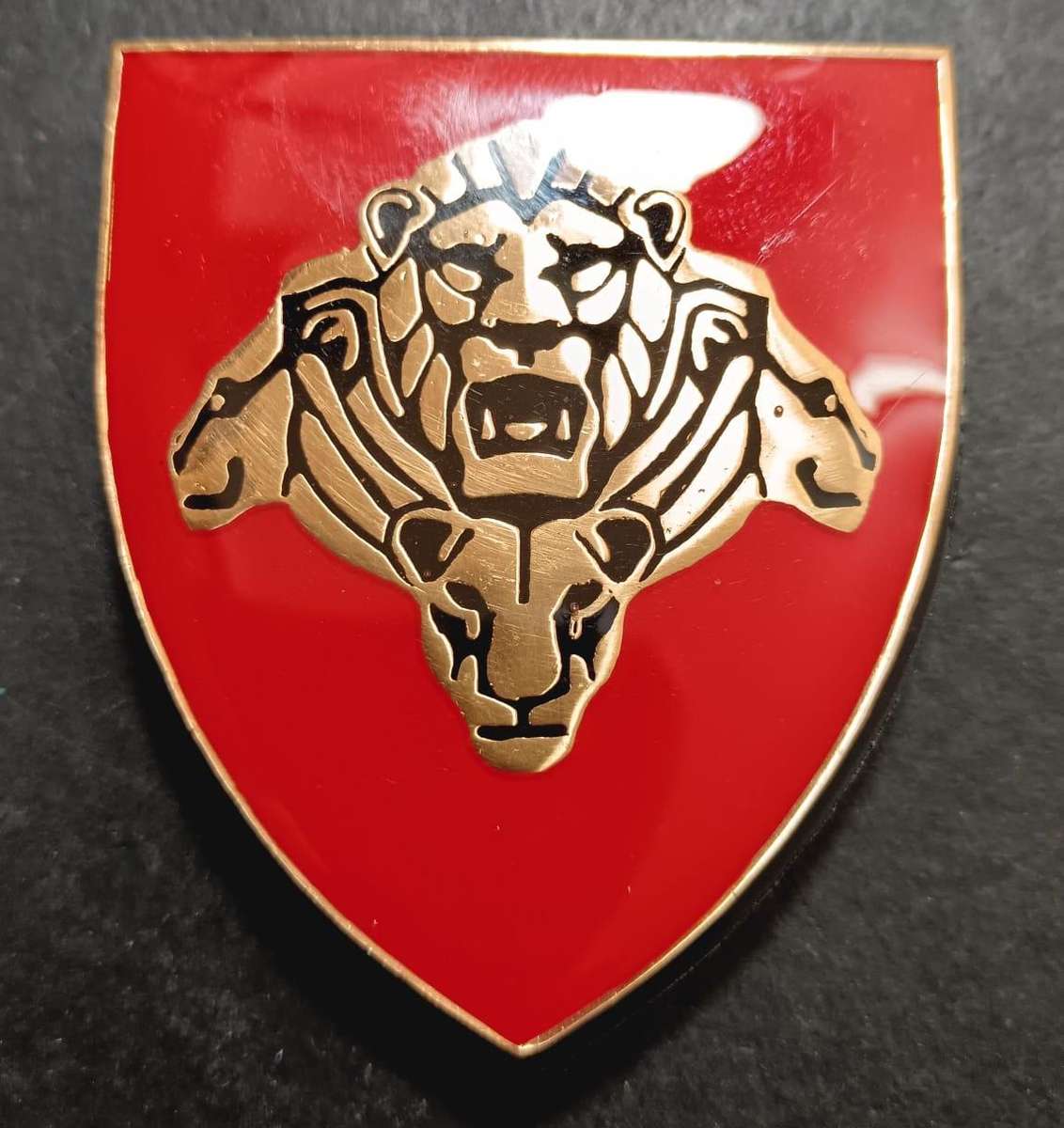 SANDF - Pride of the Nation Shoulder Flash