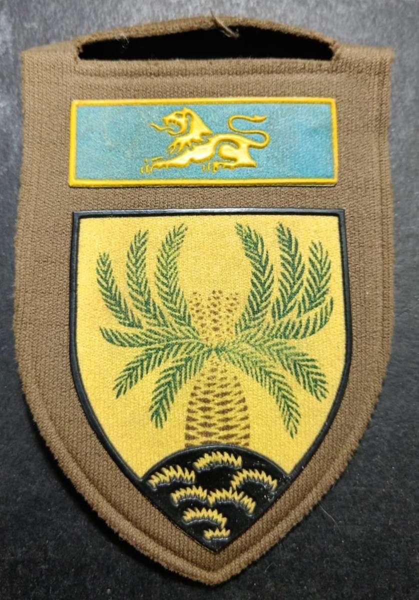 SADF - 4 SA Infantry Tupper Flash