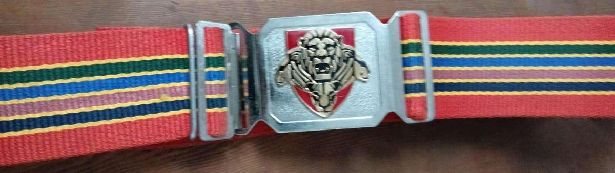 SANDF - Pride of the Nation Stable Belt