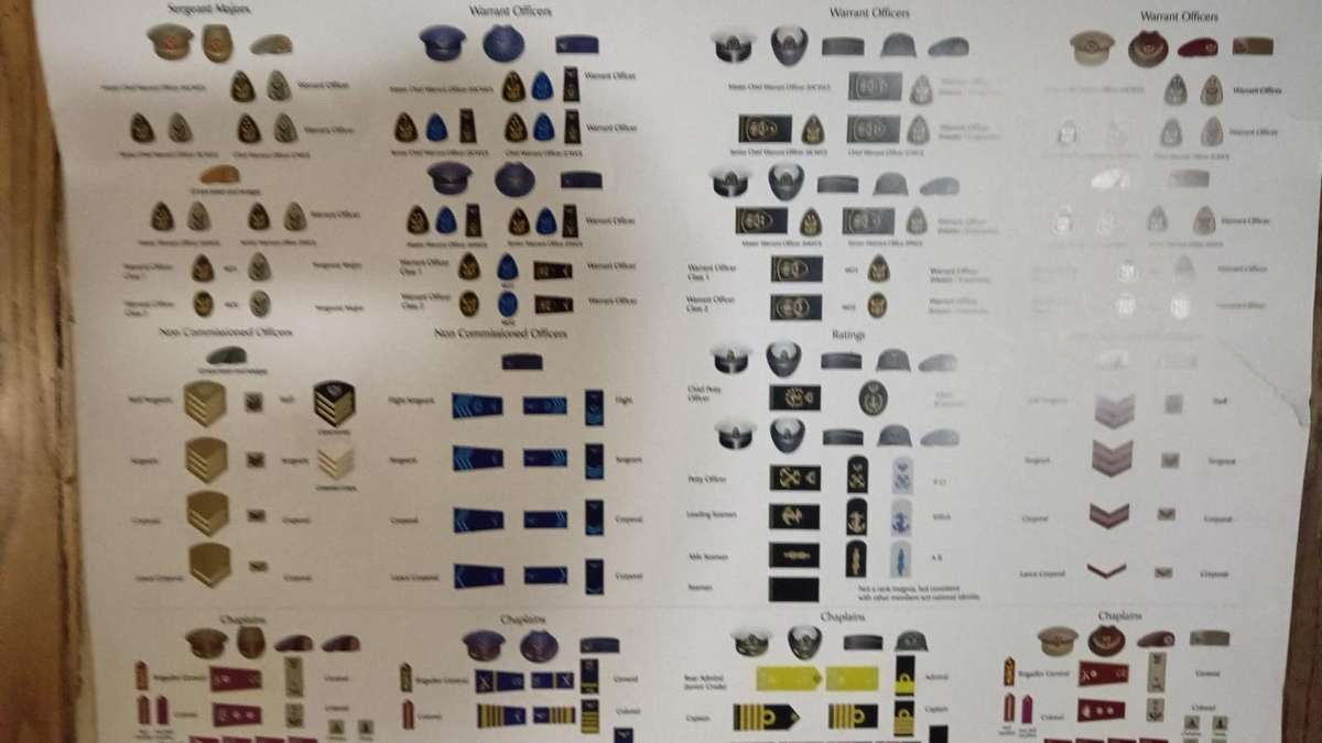 Rank Insignia of the South African Defence Force Poster ( Great Reference )
