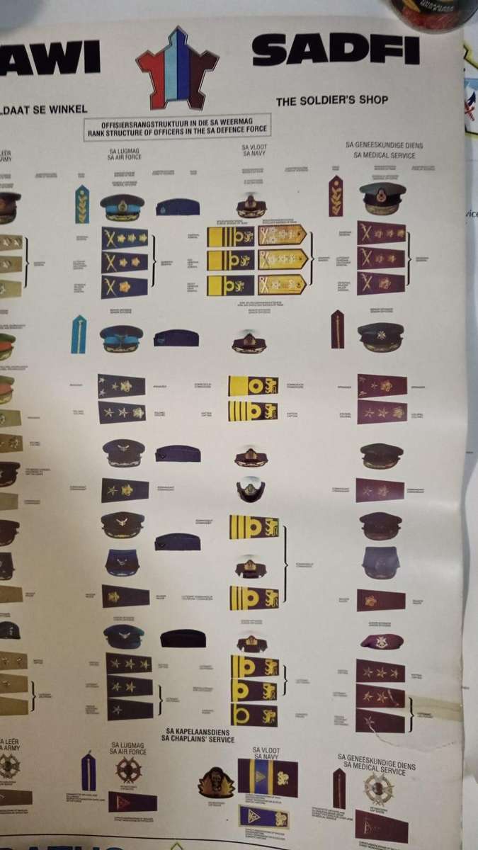 SAWI/SADFI Insignia Poster ( Great Reference )