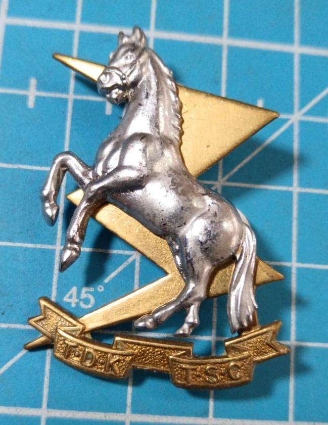 SADF - TDK Collar Badge