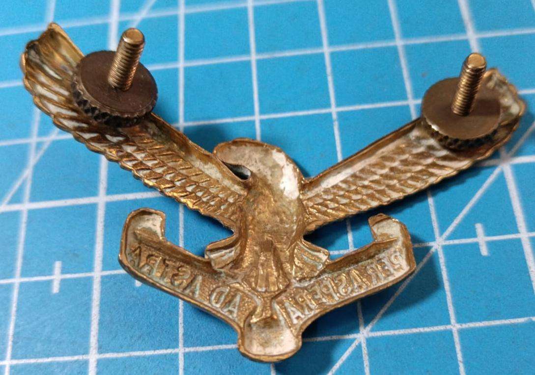 SADF - Air Force Cap Badge