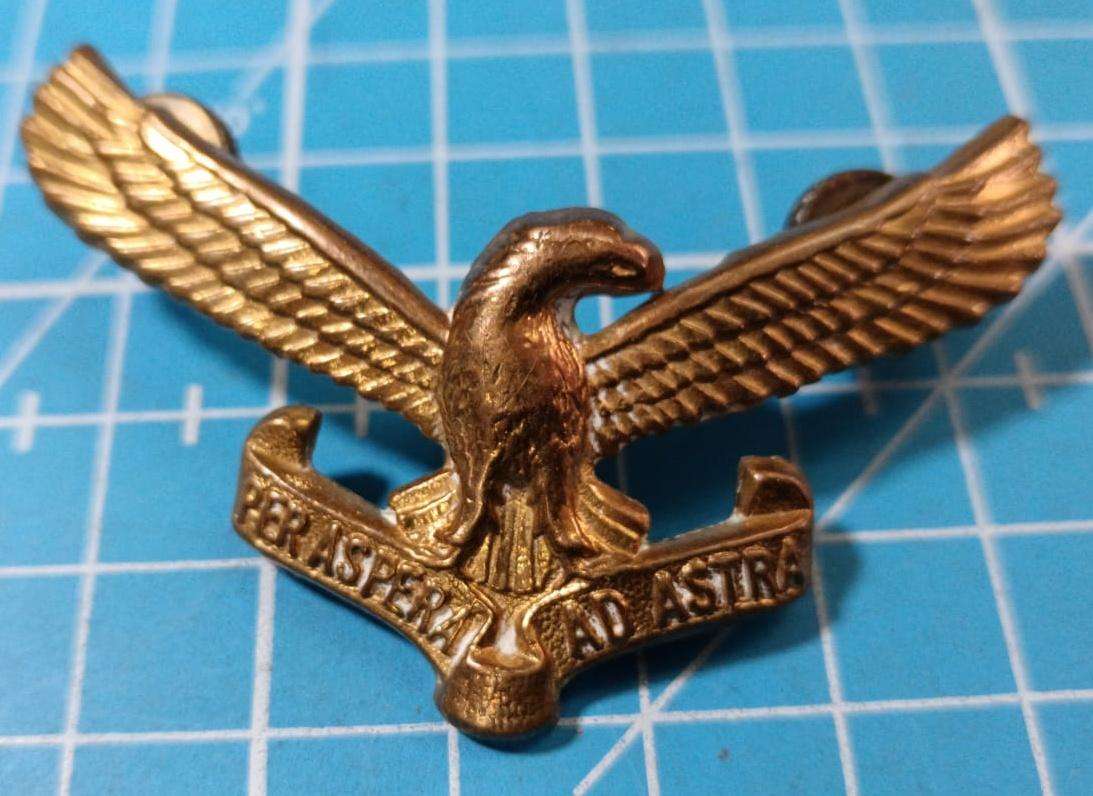 SADF - Air Force Cap Badge