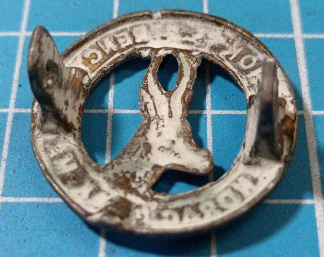 SADF - Union Collar Badge