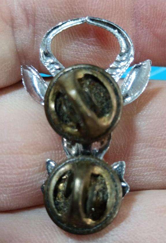 SADF - Infantry Collar Badge