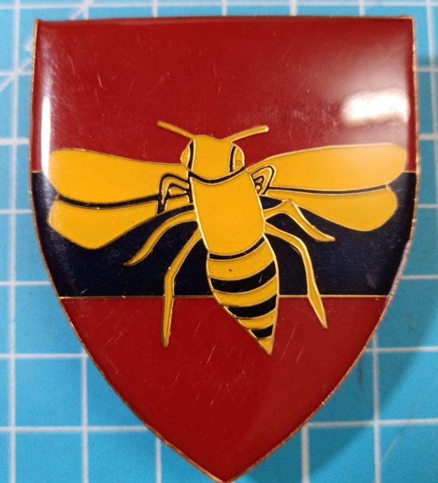 SADF - 35 Engineer Support Shoulder Flash